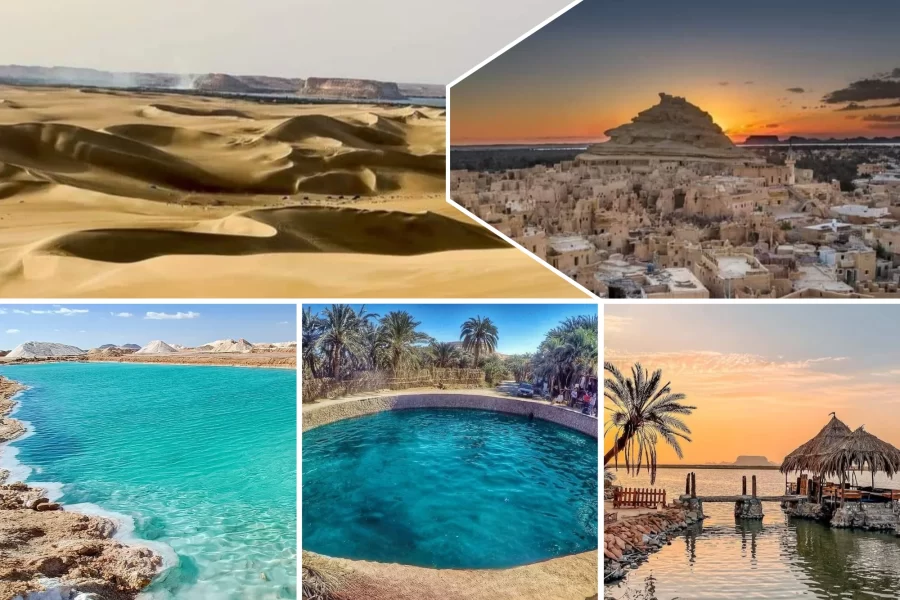 Siwa Oasis 3 Days Tour